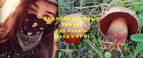 трава Баксан
